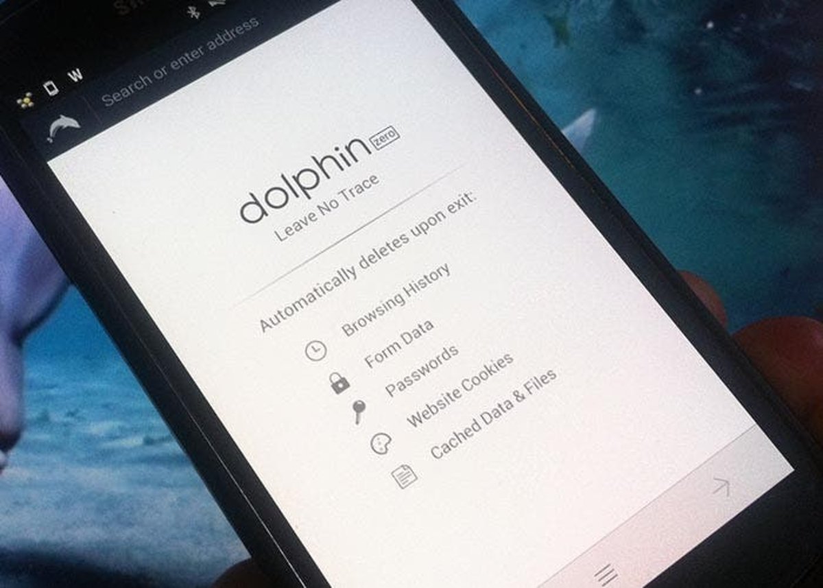 Página de incio de la aplicación Dolphin Zero