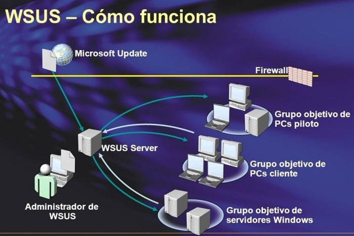 Wsus update. WSUS сервер. WSUS схема. Структура WSUS. WSUS Интерфейс.