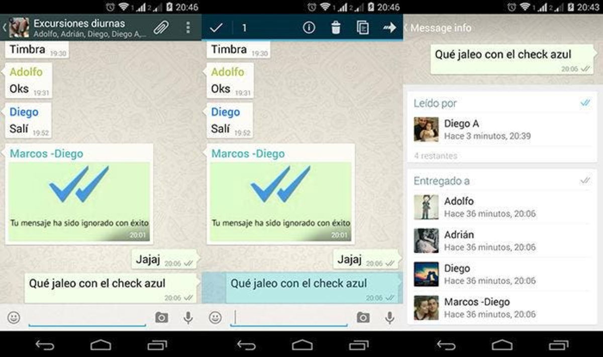 capturas check azul grupos WhatsApp