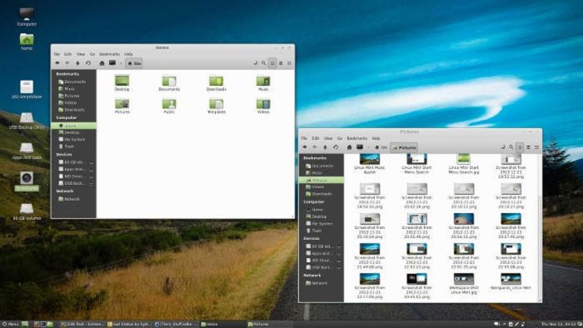 linux mint nemo