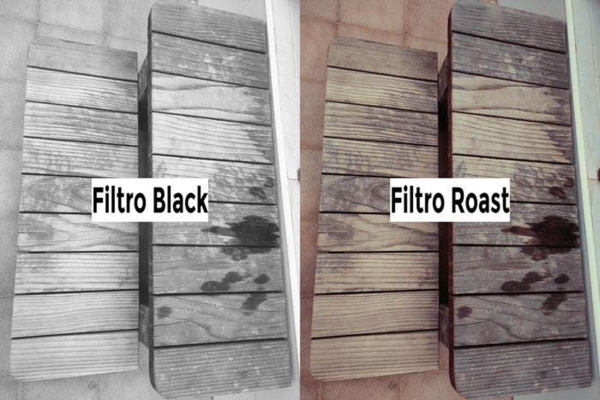 Camu-Filtros-Black-Roast