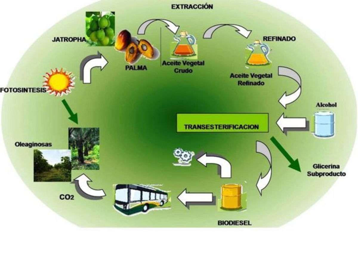 El Biodiésel Una Alternativa Al Diésel Convencional 4711