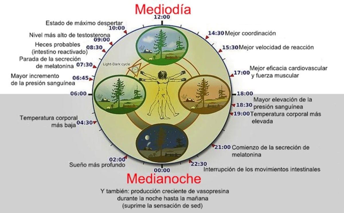 ¿Por qué te vas a la cama tarde si mañana madrugas?