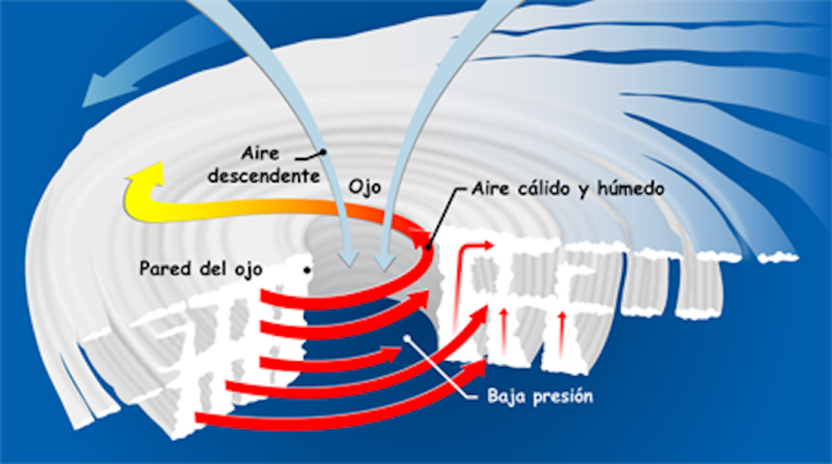 ¿Cómo se forma una tormenta tropical como Harvey?