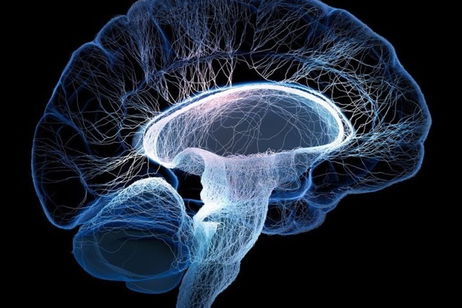 ¿Podrían tener los más machistas un trastorno mental? ¿Podrían tener los más machistas un trastorno mental?