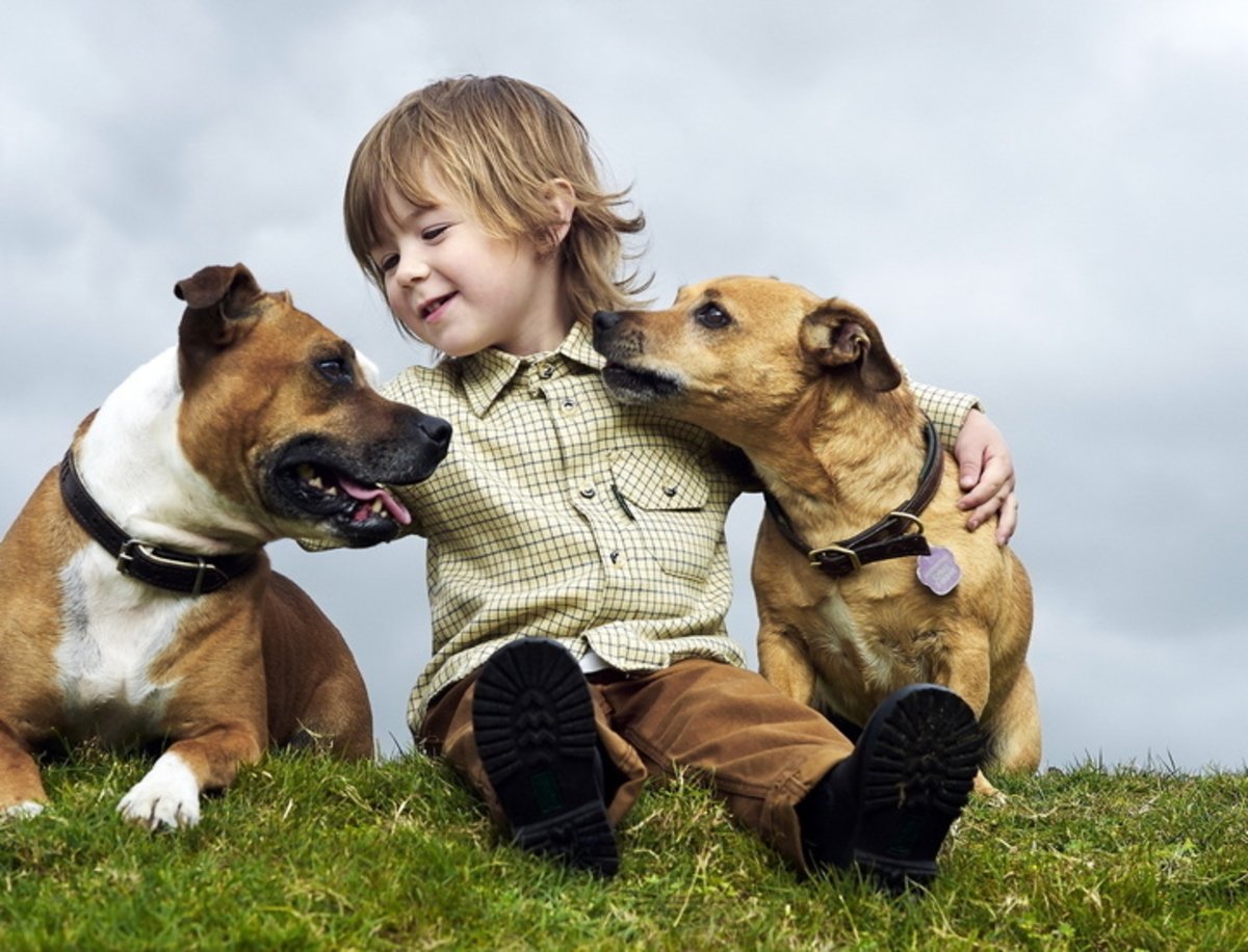 Revivir a tu mejor amigo es así de fácil: llega la clonación de perros