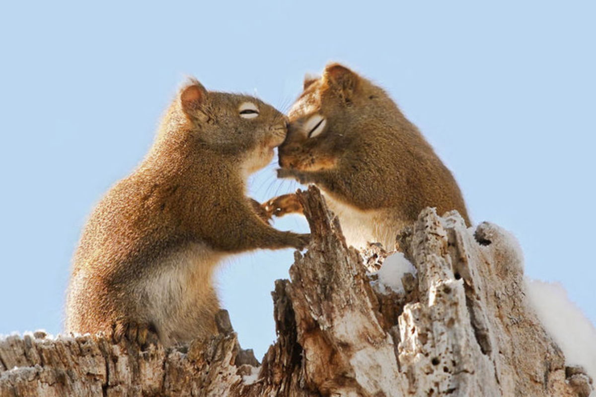 Esta IA es capaz de predecir cuándo se acabará el amor en tu pareja