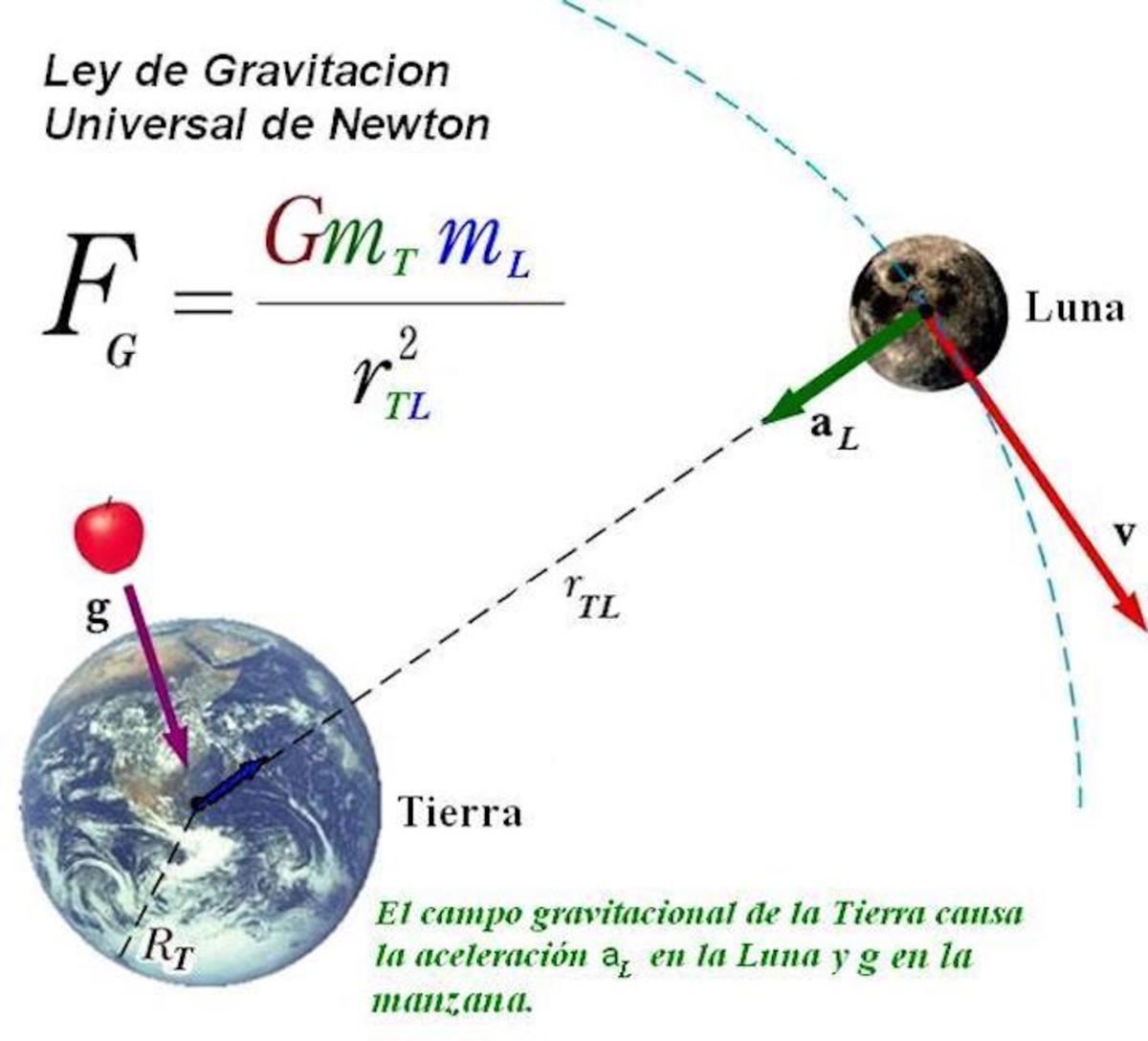 Cuánto Pesa La Luna 9514