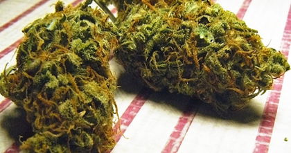 Esta peligrosa marihuana te hace sangrar por los ojos y por los oídos Esta peligrosa marihuana te hace sangrar por los ojos y por los oídos