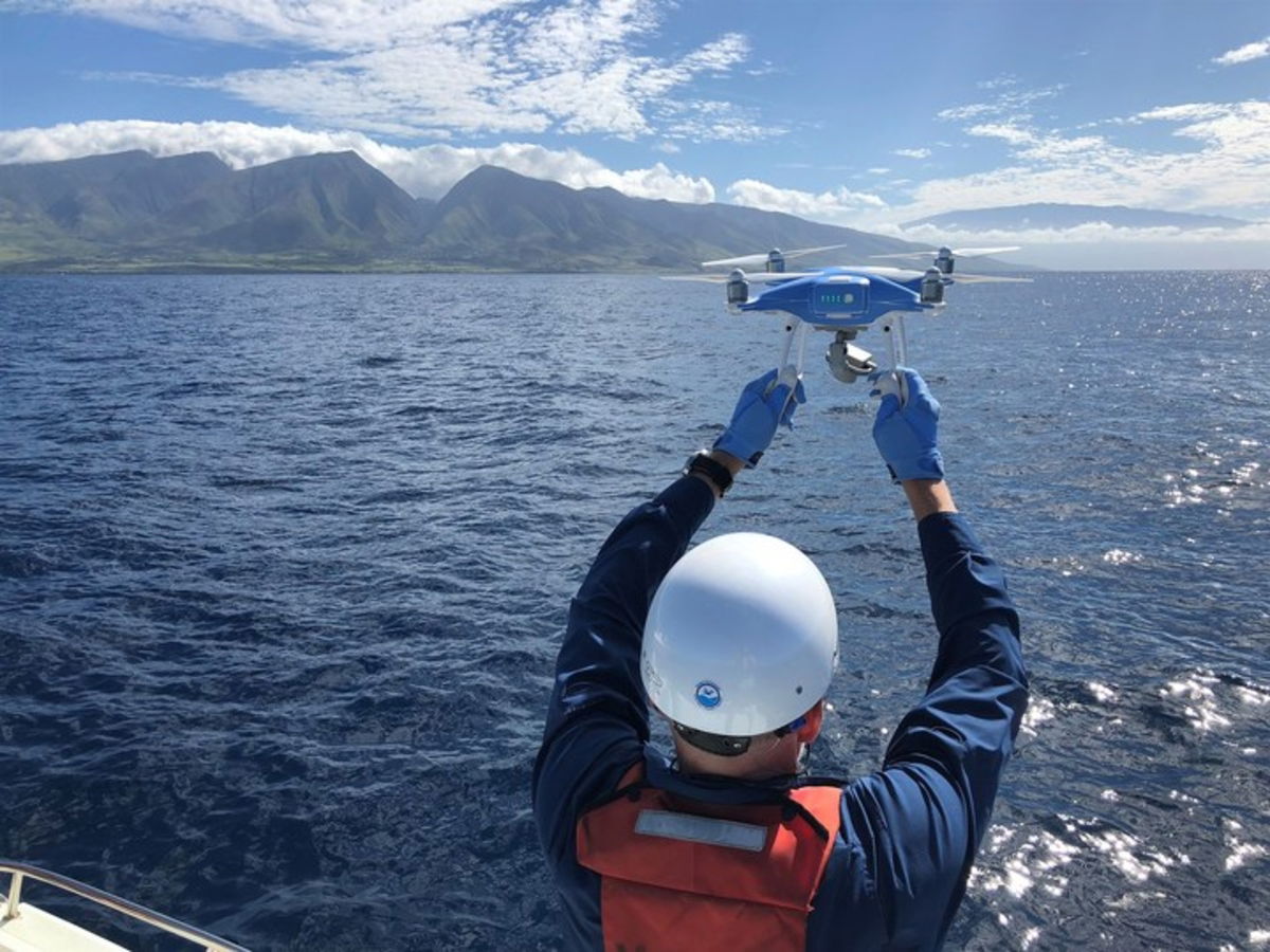 Los drones se han convertido en la mejor solución para salvar ballenas varadas