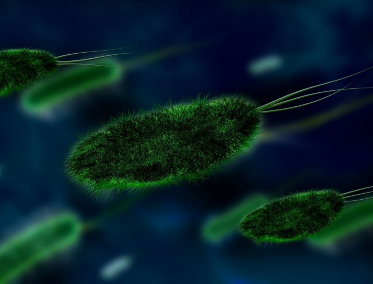 HP utiliza su impresora de antibióticos para ayudar a combatir infecciones