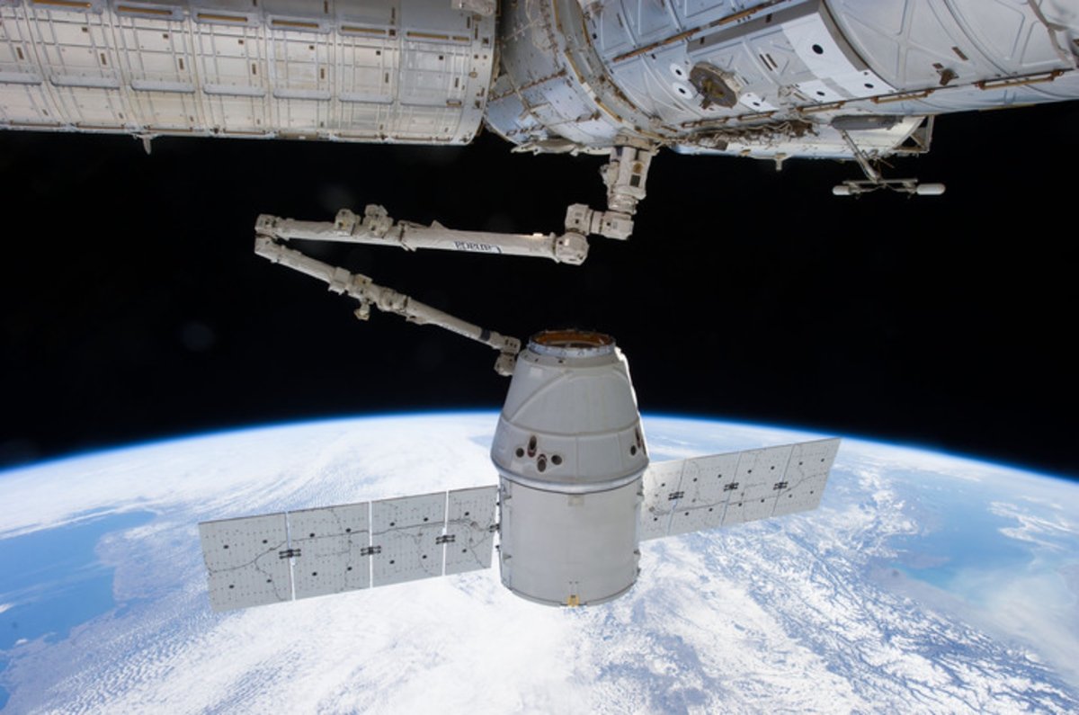 Cómo unos ratones retrasaron el lanzamiento de la misión conjunta entre SpaceX y la NASA