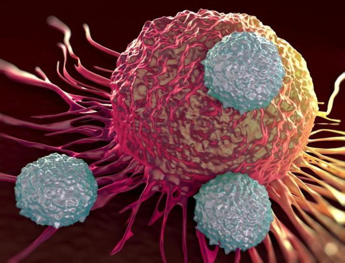 Un nuevo sistema consigue detectar tejidos cancerosos de forma más efectiva