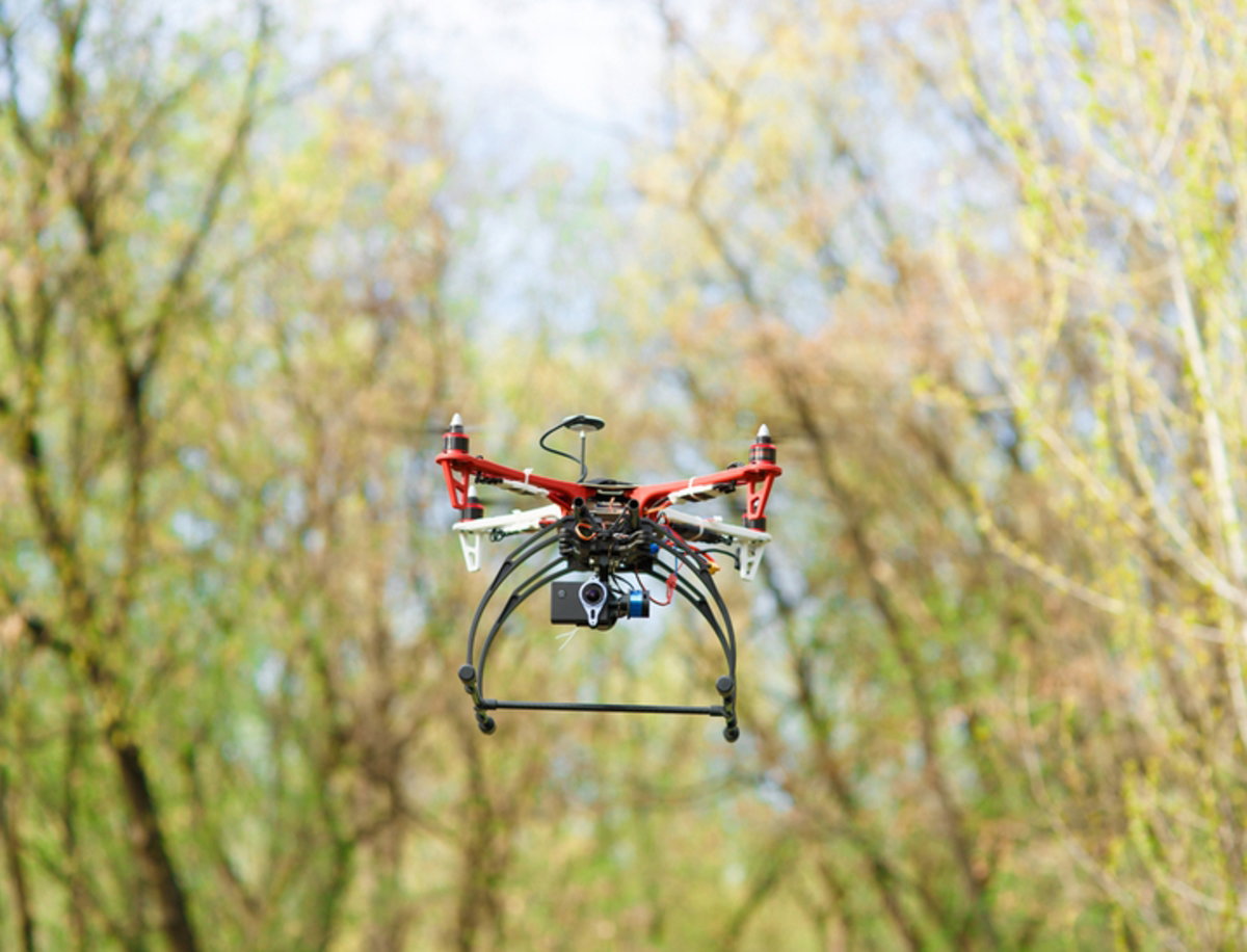 Drones para reforestar bosques que han sido pasto de las llamas, así funcionan