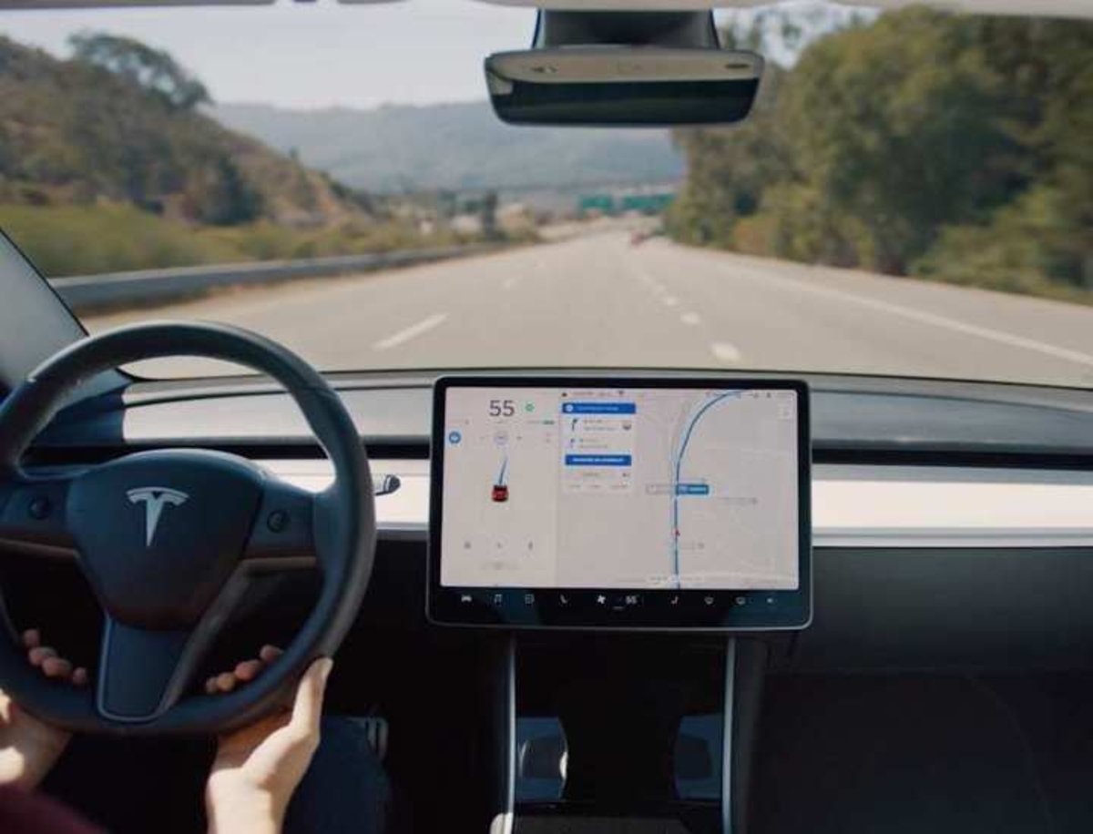 El sistema de conducción autónoma de Tesla salva a una osa y su camada