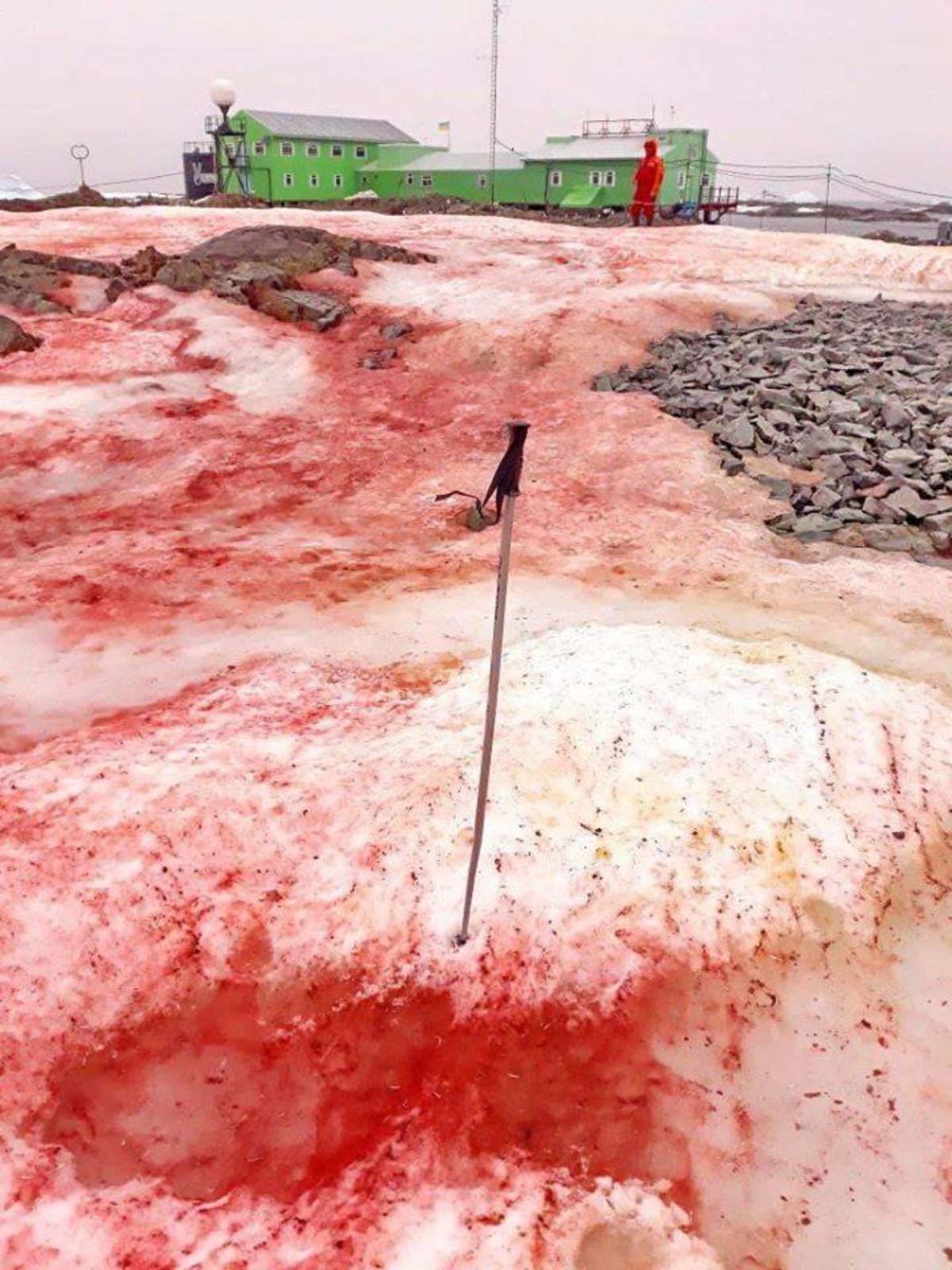 Qué es el hielo rojo que ha aparecido en la Antártida