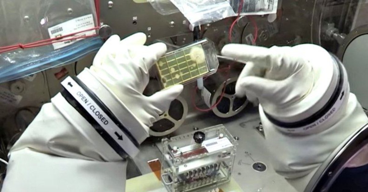 Cómo llegan las bacterias a la Estación Espacial, y por qué su agua está contaminada