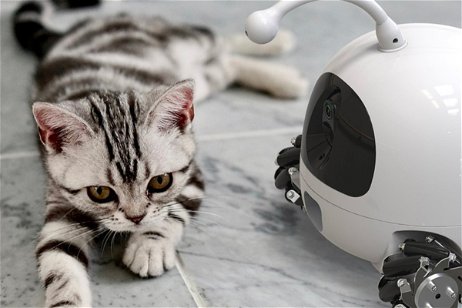 Rocki, el robot que te permite dar golosinas a tu mascota cuando no estás en casa
