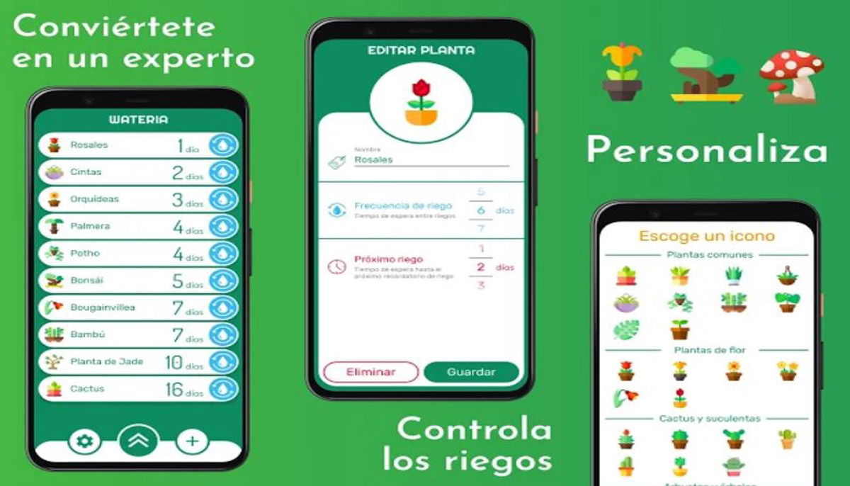 Cuida tus plantas y hazlas florecer con estas 5 aplicaciones para Android