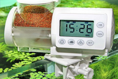 Con estos comederos automáticos para acuarios tus peces no pasarán hambre