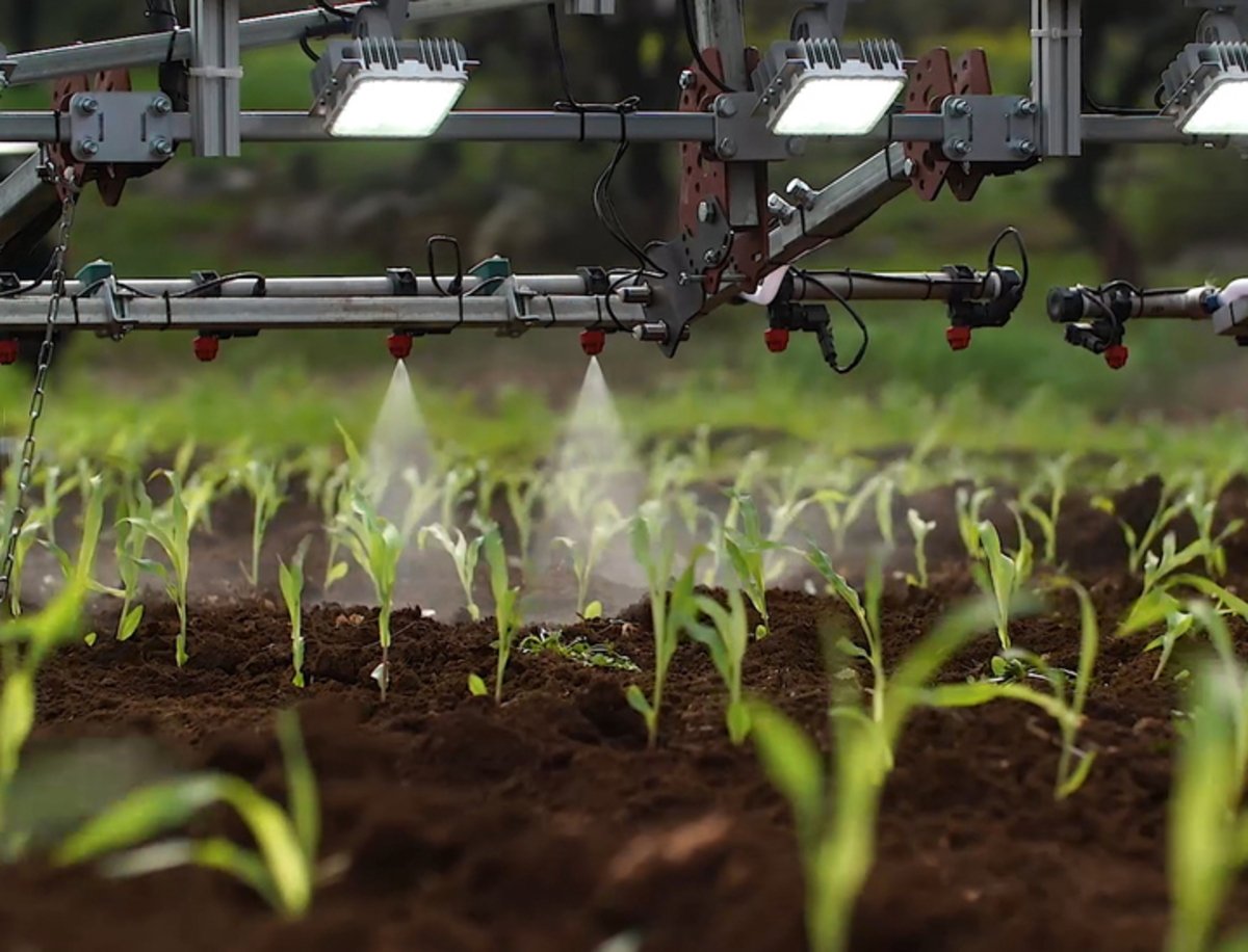 Crean un robot para echar herbicida en plantaciones de forma autónoma y selectiva