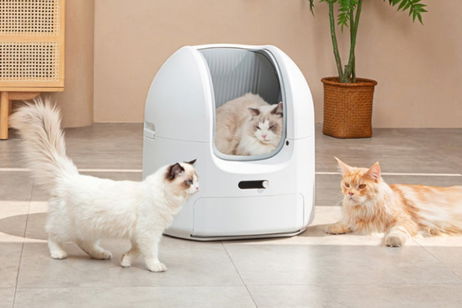 La siguiente revolución para tus gatos es este arenero automático e inteligente: conoce ChouBox