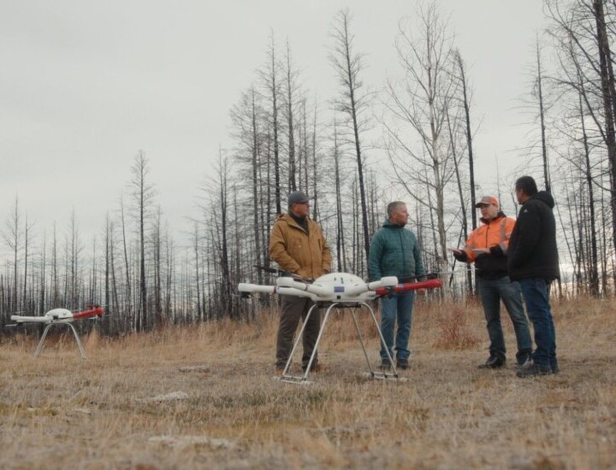 Reforestación desde el aire: así se usan drones para plantar nuevos árboles