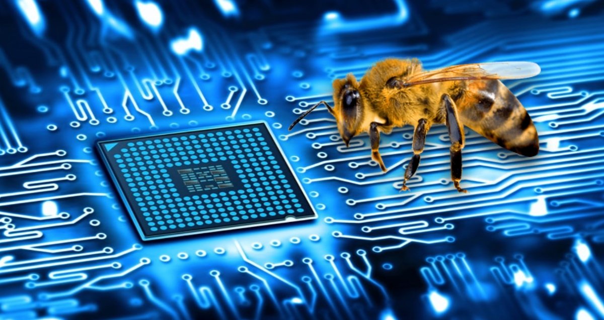 Miel para crear microchips