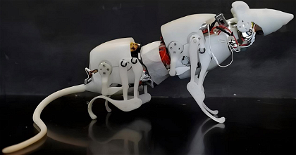 Esta increíble rata robótica podría salvarte la vida en el futuro