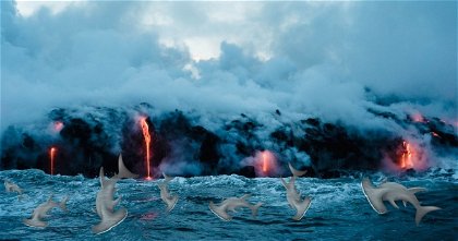 Un volcán submarino que escupe ácido y está lleno de tiburones. Así es "Kavachi", y su erupción es inminente
