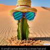 cacti with glasses