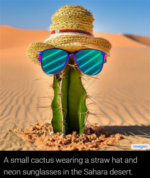 Cactus con gafas