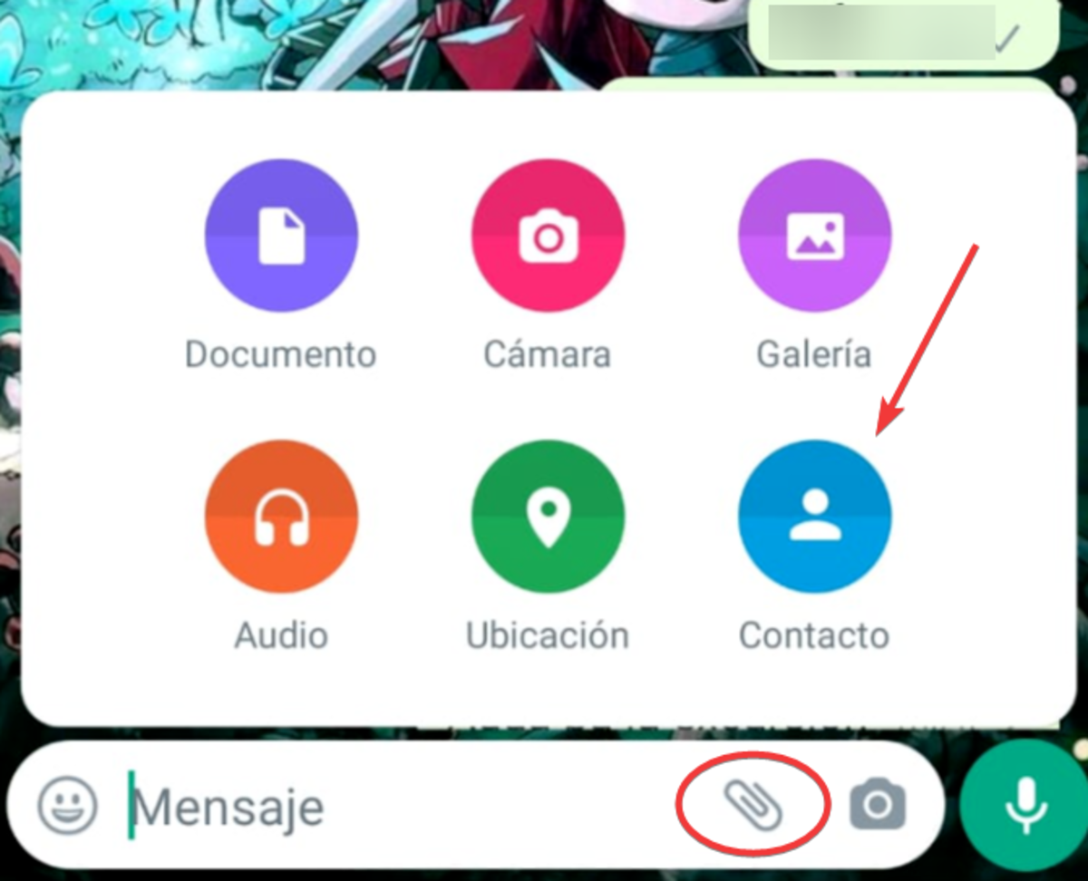 Contacto en WhatsApp