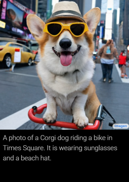 Corgi en NYC