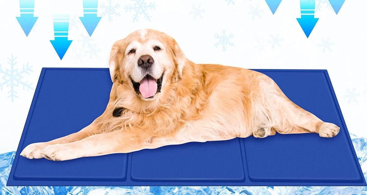 Esta alfombra refrescante es una de las grandes soluciones para tus animales de compañía