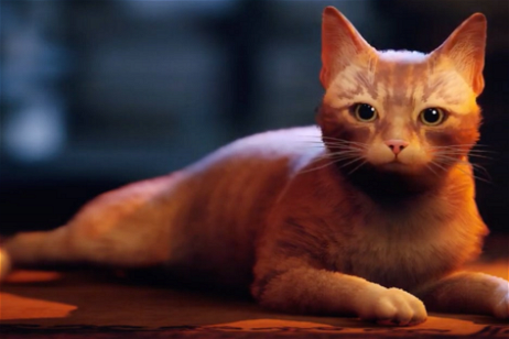 Gatos reales alucinando con un videojuego sobre gatos: la nueva y adorable tendencia que lo peta en Twitter