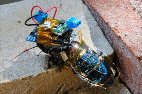Mitad cucaracha, mitad robot: estos insectos cyborg funcionan con energía solar, y tienen una misión crucial