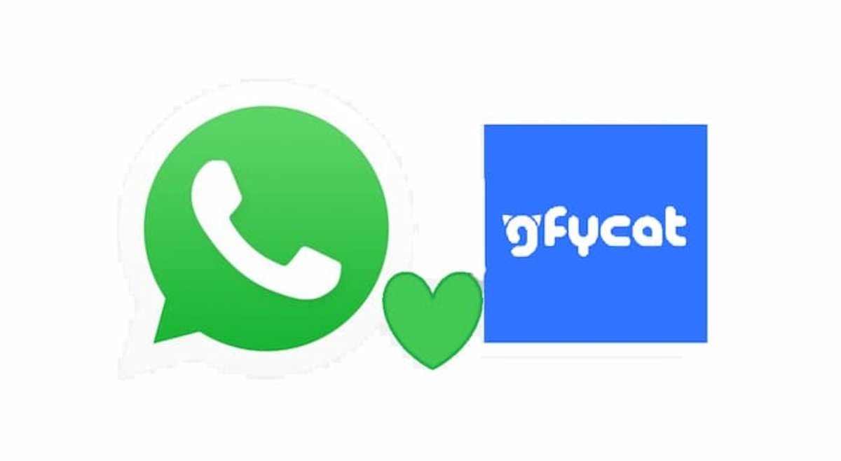 En Gfycat también podrás encontrar una gran variedad de GIFs para WhatsApp