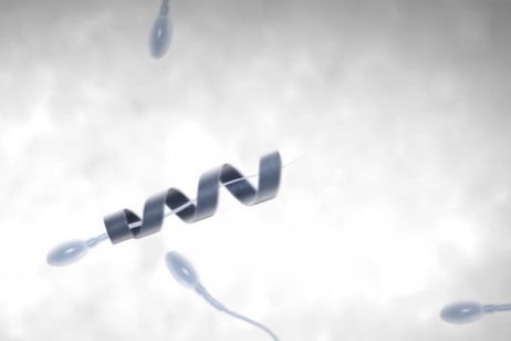 Estos espermatozoides van motorizados con un nanorobot que los guía hasta el óvulo Estos espermatozoides van motorizados con un nanorobot que los guía hasta el óvulo