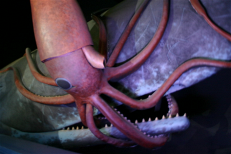 Calamar gigante vs ballena: las batallas colosales que nunca pudimos ver, pero tenemos pruebas de que existen