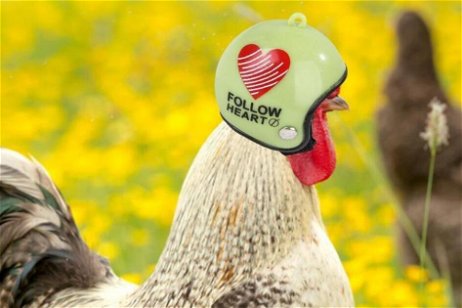 La misteriosa moda viral de los cascos para pollo, un bizarro accesorio que ya encuentras en tiendas en España