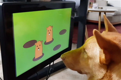 Videojuegos para perros: un invento divertido, que además es genial para la salud de tus mascotas