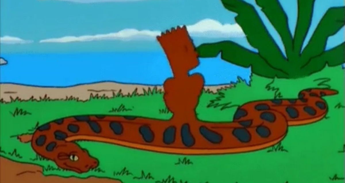 This is what has been discovered inside a colossal python from Burma ...