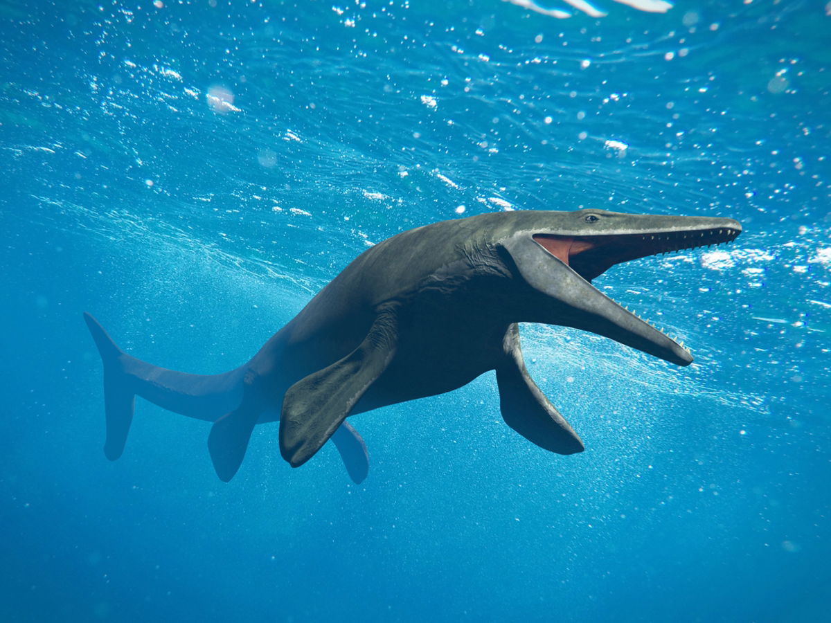 Este coloso marino fue un dinosaurio terrorífico, y hemos descubierto que era incluso peor de lo que creíamos