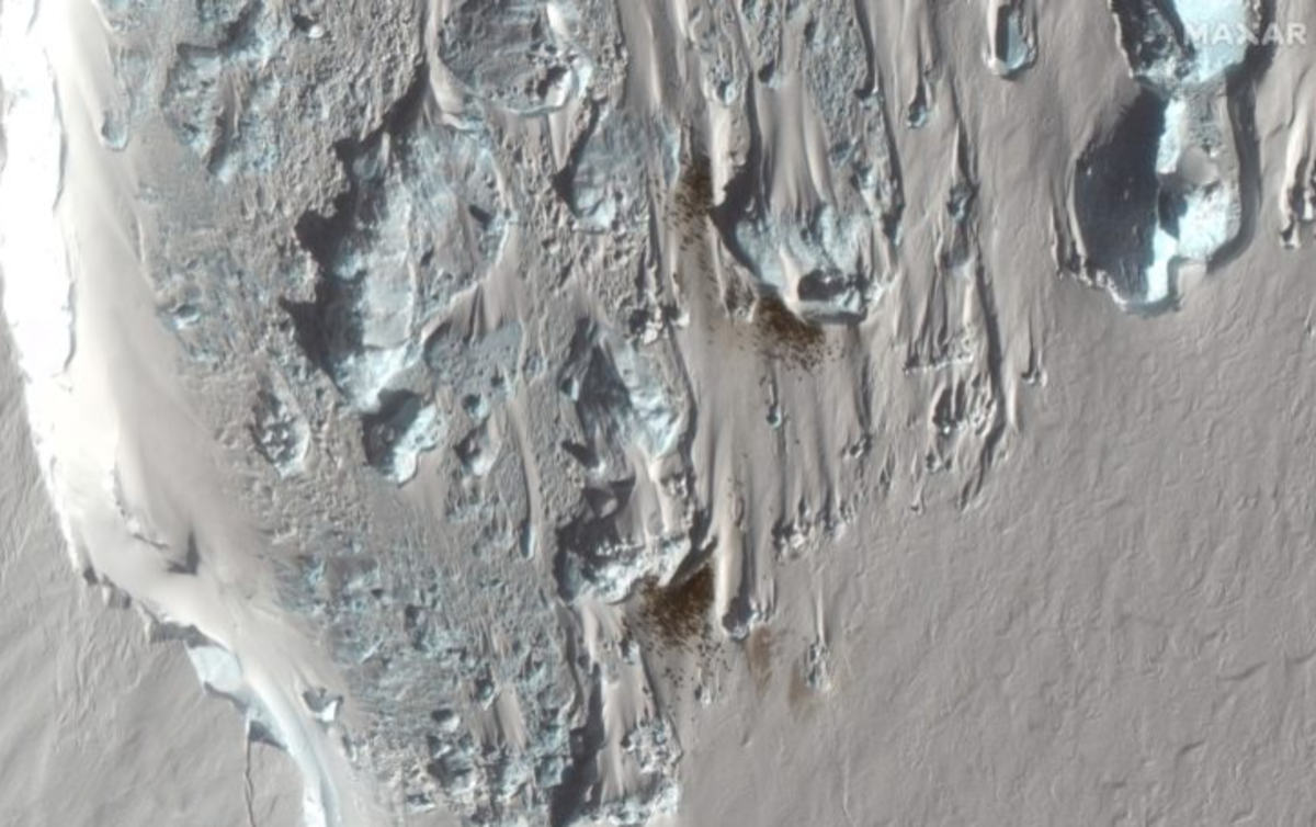 Vision satelite sobre la Antartida