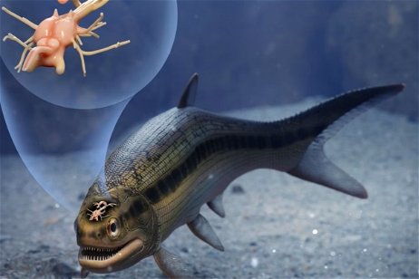 Hemos encontrado el cerebro más antiguo de un vertebrado dentro de un pez de hace 319 millones de años
