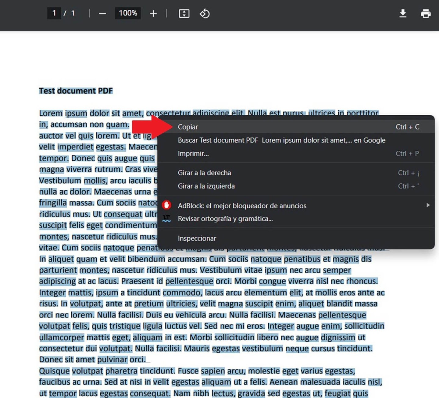 Copiar el texto de un documento PDF