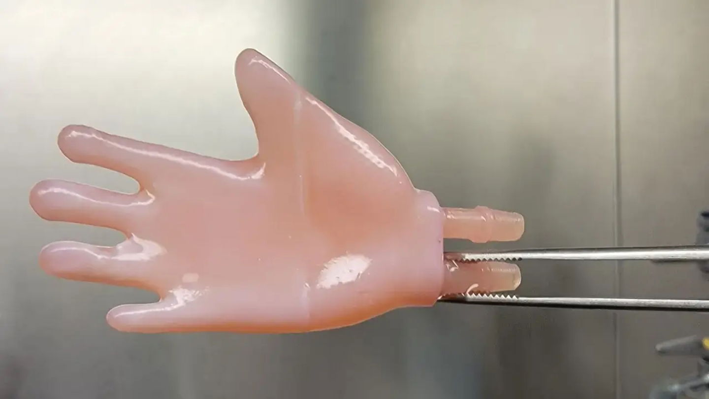 Imagen de una de las manos para ratones creadas con tejidos artificiales