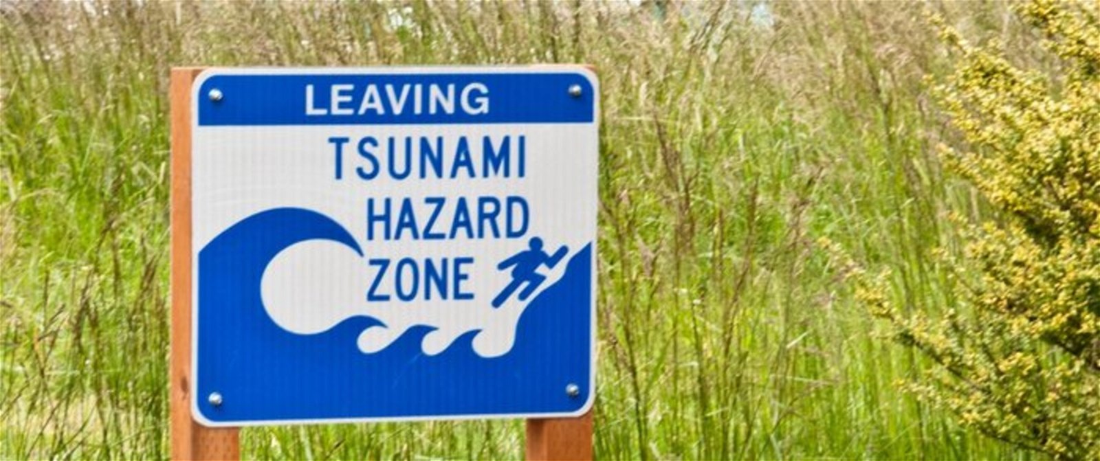 cartel aviso tsunami