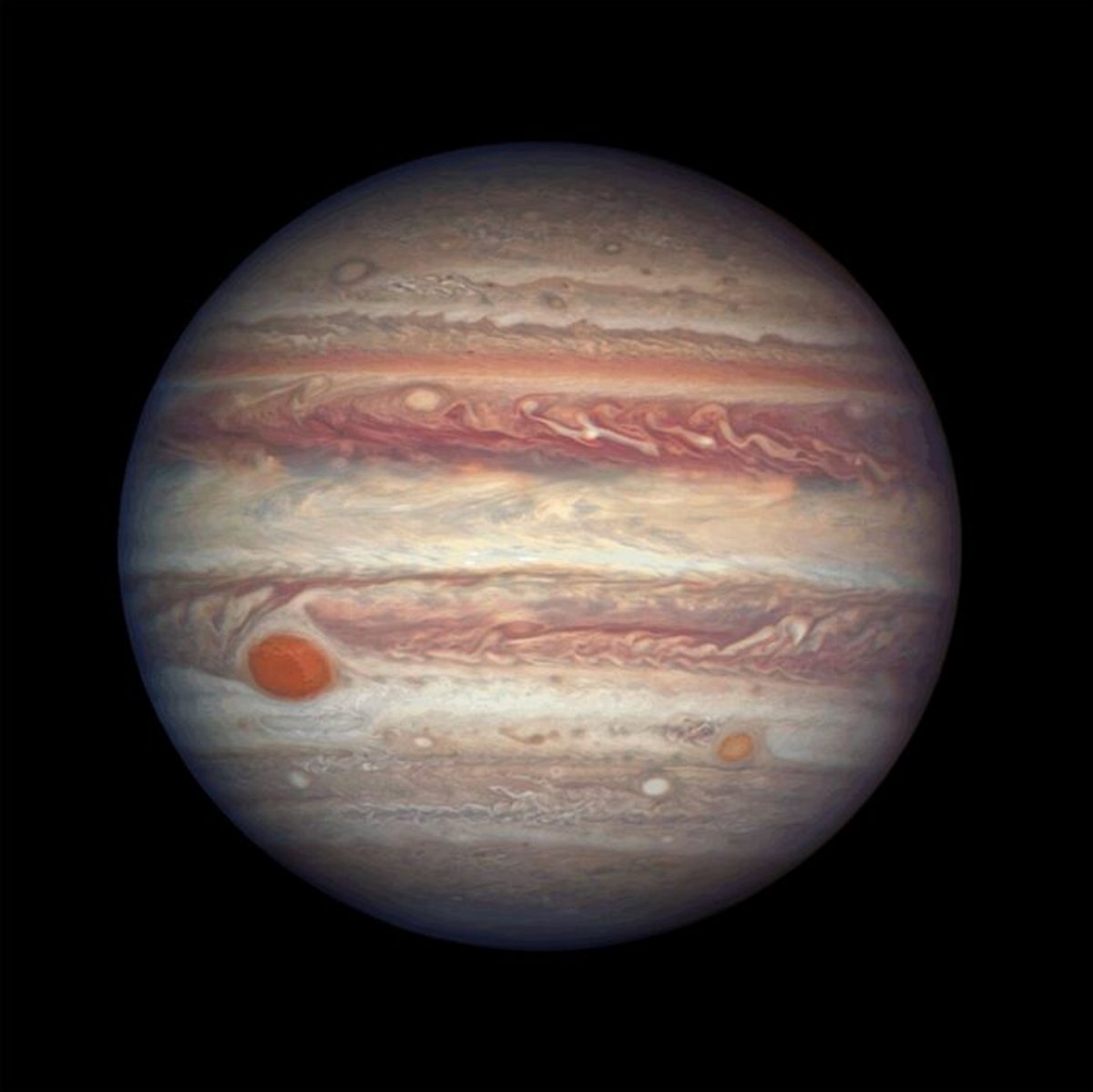 How to see Jupiter from Earth observation guide Gearrice
